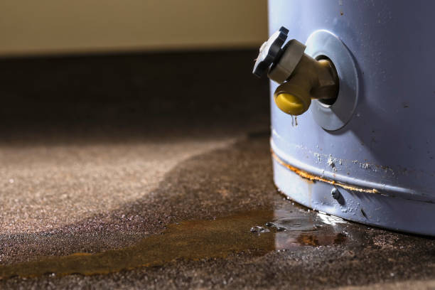 Best Water damage cleanup near me  in La Homa, TX