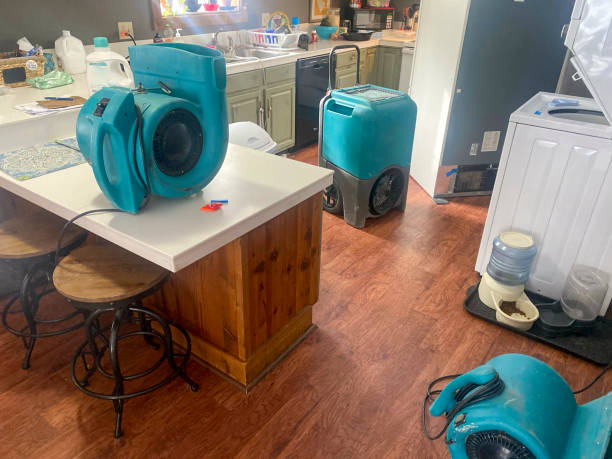 Best Water damage restoration near me  in La Homa, TX