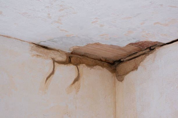 Best Ceiling water damage repair  in La Homa, TX