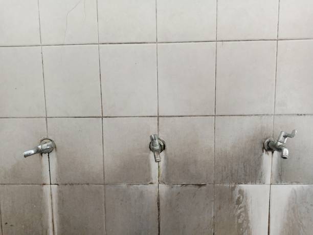 Best Fire Damage Restoration  in La Homa, TX