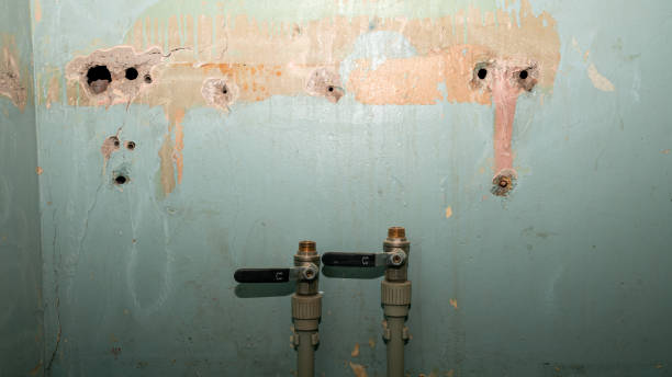Best Flooded house restoration  in La Homa, TX