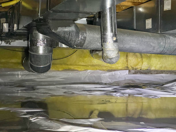 Best Basement water damage restoration  in La Homa, TX