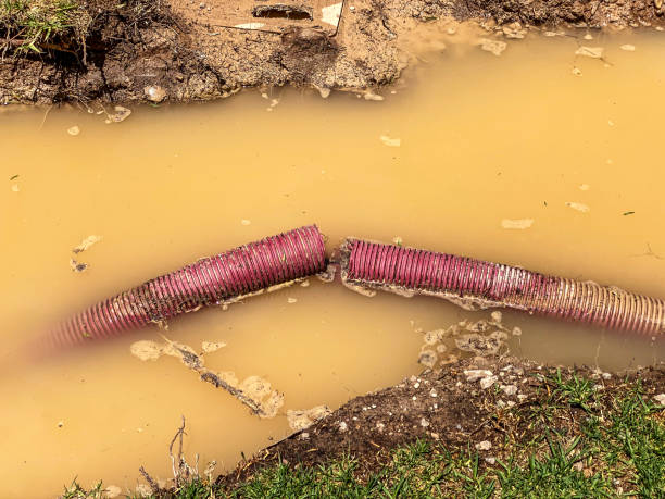 Water damage restoration mold remediation in La Homa, TX