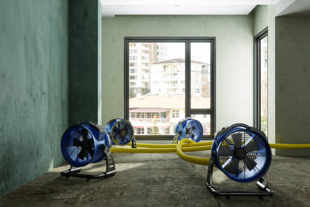 Best Commercial water damage restoration  in La Homa, TX