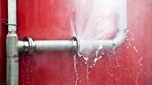 Best Water damage restoration company  in La Homa, TX