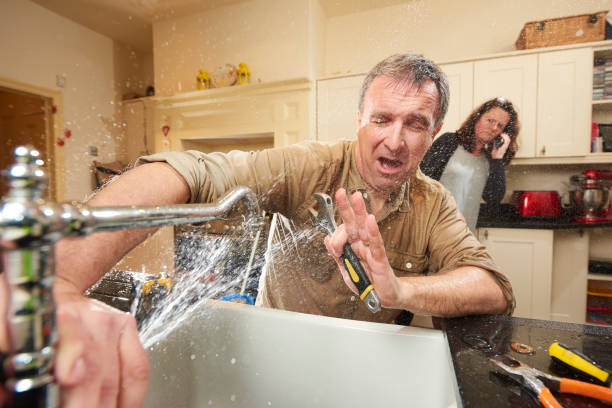 Best Professional water damage repair  in La Homa, TX